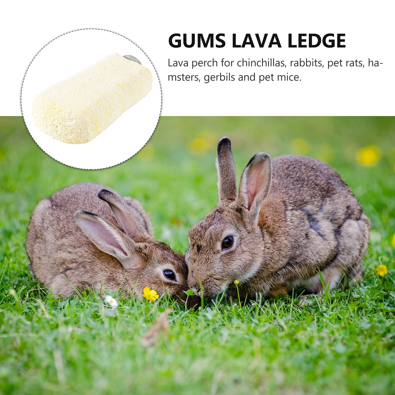 

Chinchilla Hamster Rat Mice Pumice Chew Lava Ledge Safe Cleaning Stone For Small Pets Rodent Cage Accessories