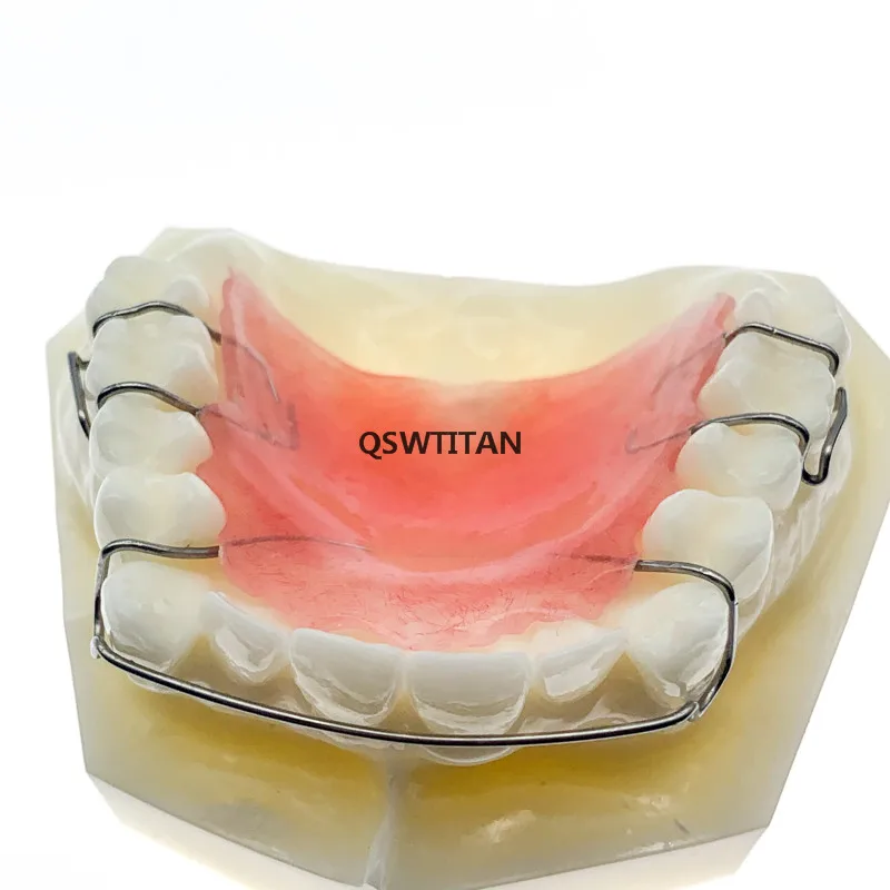 Teeth Model Upper jaw with retainer Demonstrates the structure of retainer Dental study Teeth Model
