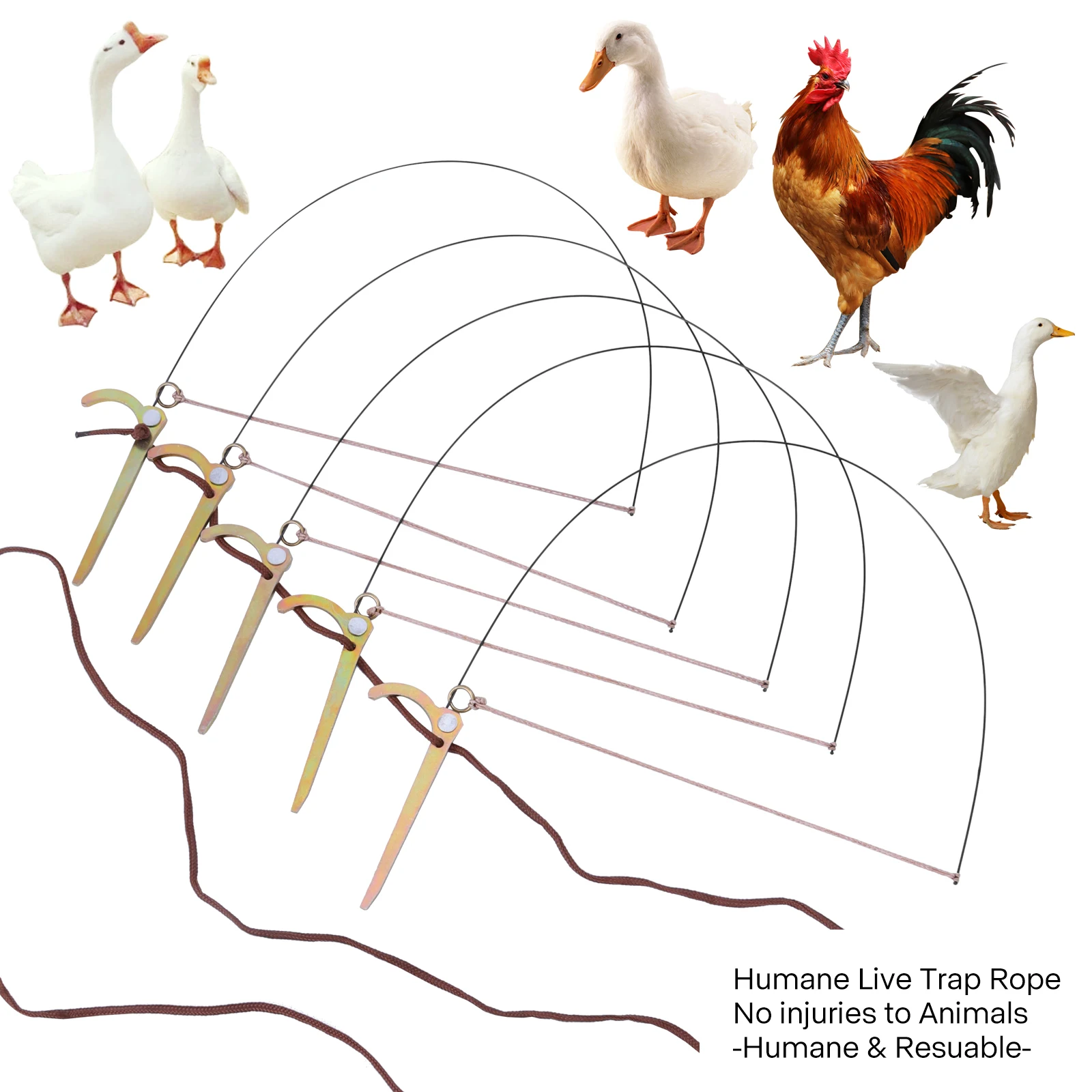 

Профессиональная ловушка для птиц для курицы, фазана, дикой утки, попугая, кряква, связывание ног птиц, не повреждает их 2028