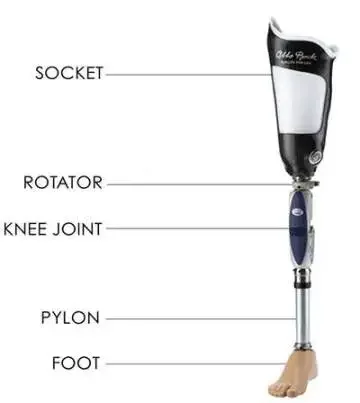 Made in China Medical  Prosthetic leg artificial Limbs prosthetic parts  Manufacturer