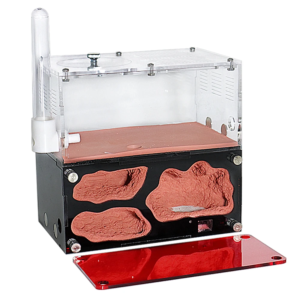 아크릴 개미 농장 온도 제어 콘크리트 개미 둥지, 무한 확장 곤충 집 식민지 술꾼 개미 키트 액세서리 