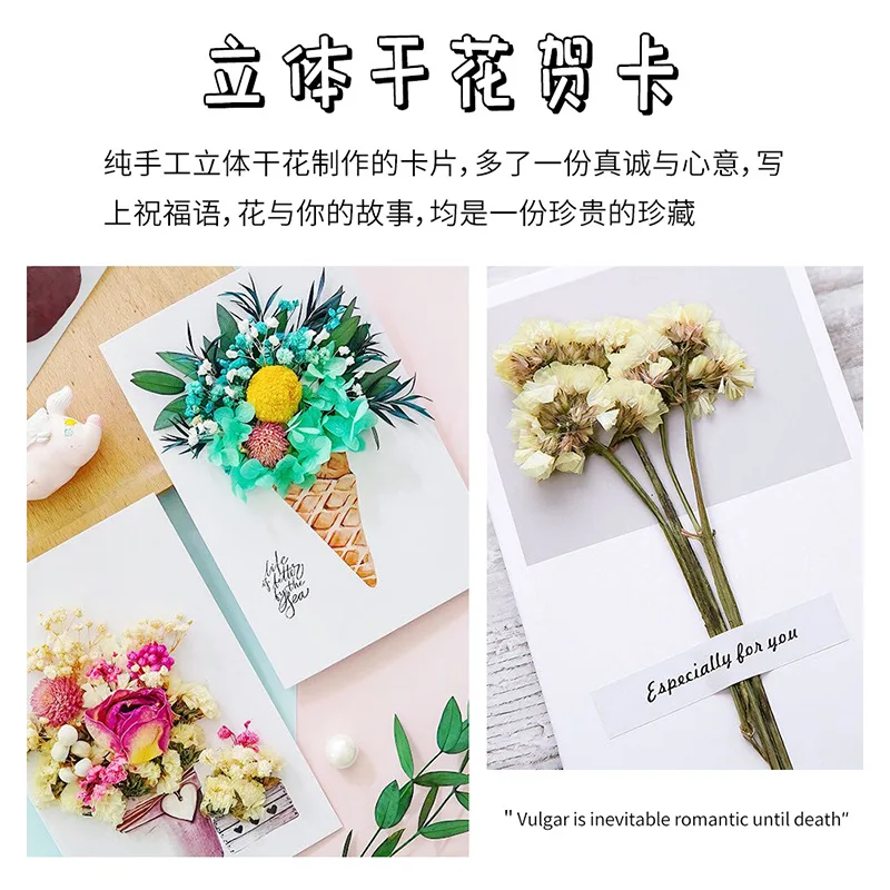 Dried Flower Material Package Epoxy Photo Frame Circular Fan Candle Decoration Filling  Eternal Three-Dimensional