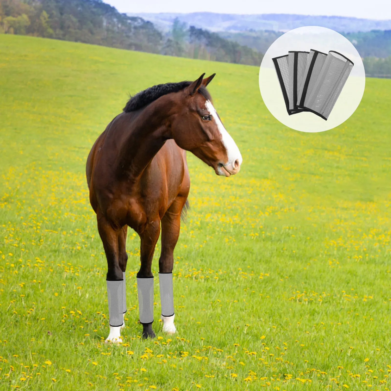 通気性の良いメッシュ素材を使用した馬用脚保護具4点セット。柔らかく通気性に優れ、夏場の紫外線から馬の脚を保護します。牧草地やトレイルでの乗馬に最適。