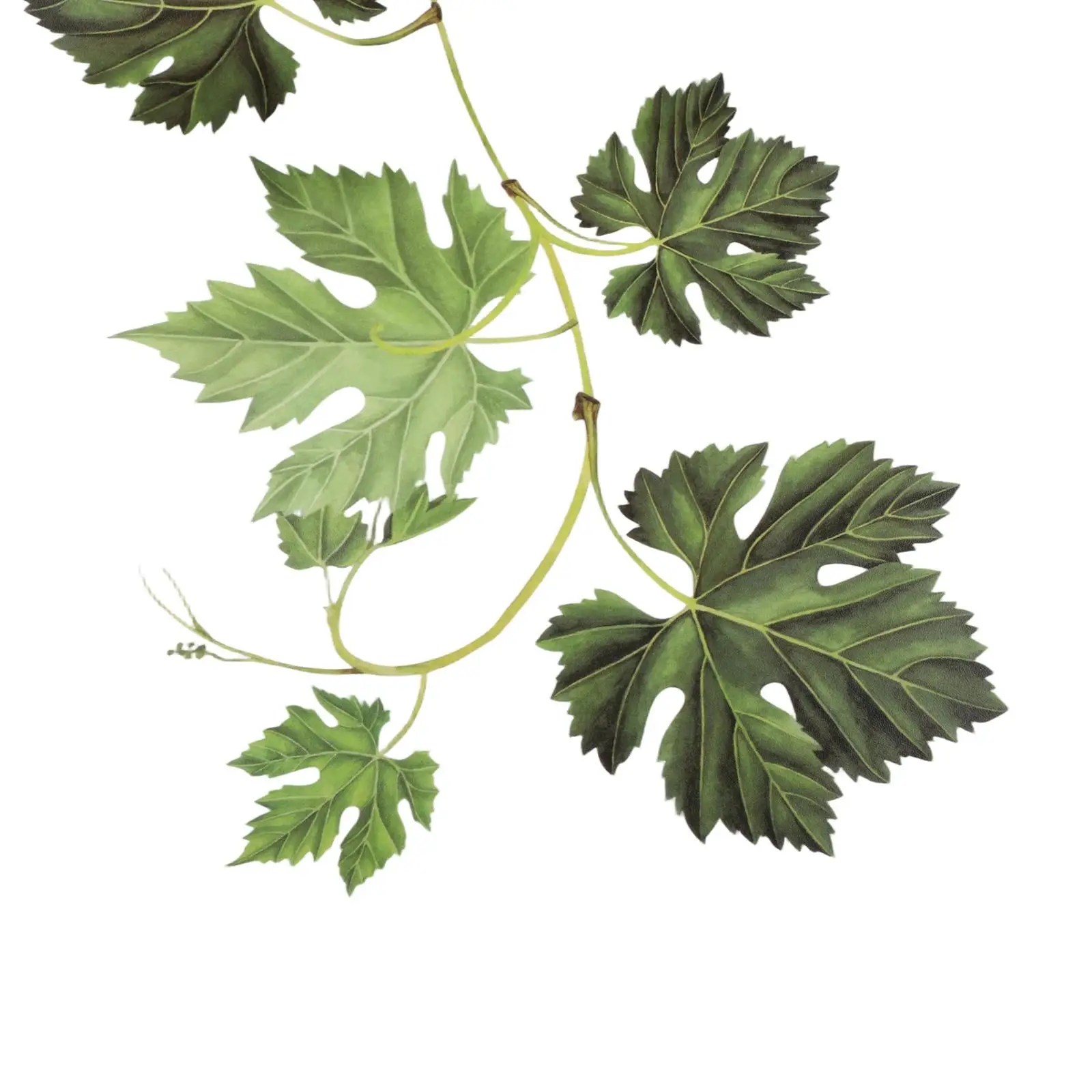 Accessory Wall Sticker Corner Decoration Elements Furniture Green Leaf Ornament PVC Room Suitable Supply Brand New