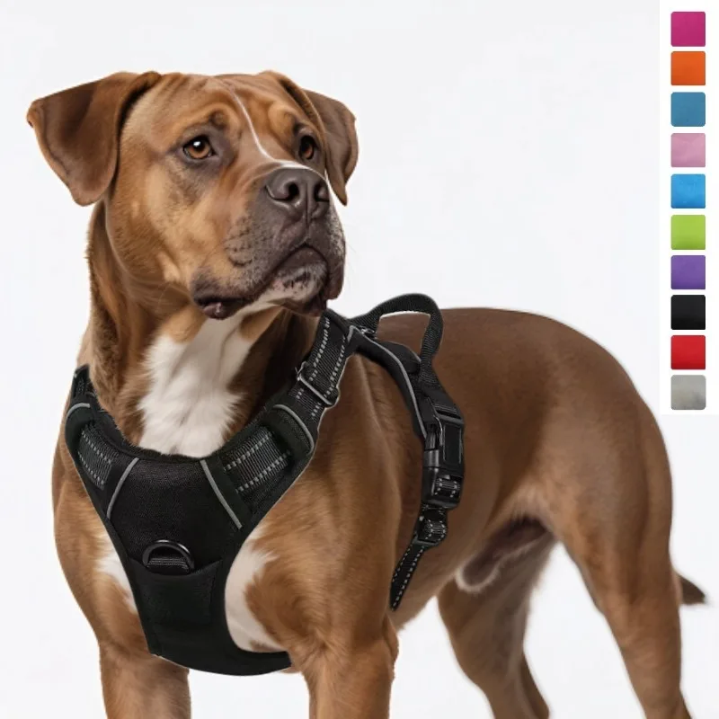 

Leather Dog Harness and Leash Set with Collar, Soft Adjustable Puppy Harness for Small Medium Dogs, Complete Walking Set