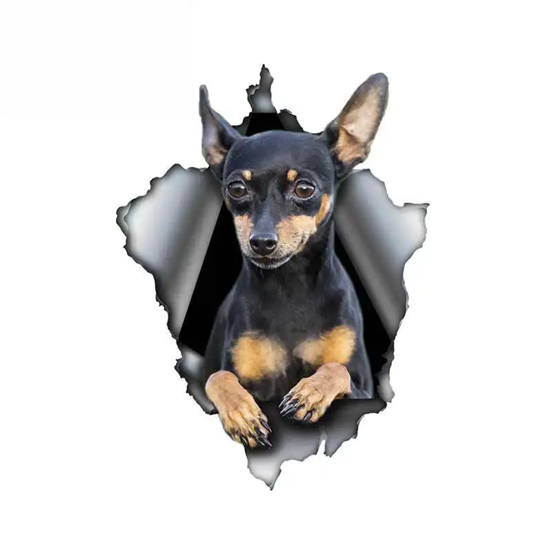 

Pinscher Dog Car Sticker Torn Metal Decal Waterproof 3D Car Decals Reflective Vinyl Pet Dog Stickers 13cm*9.7cm