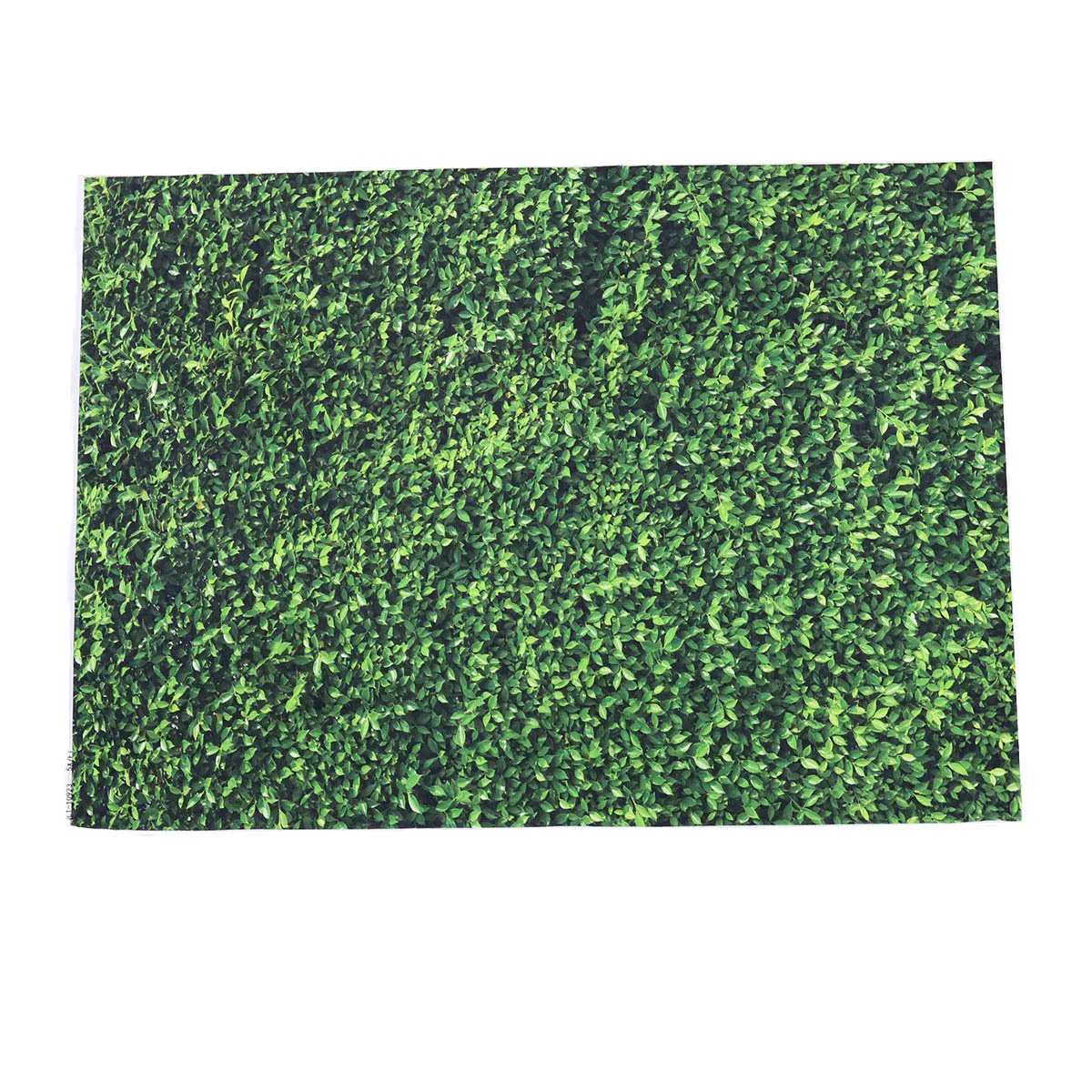 

1Pcs Green Grass Background Cloth 1x1.5m Lawn Photography Backdrop Studio Props Photo Backdrop Cloth for Professional Photo