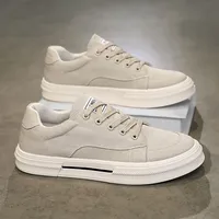 Men's Canvas Shoes Spring New Style Thin Fashion Lightweight Simple Personality Breathable Casual Board Shoes