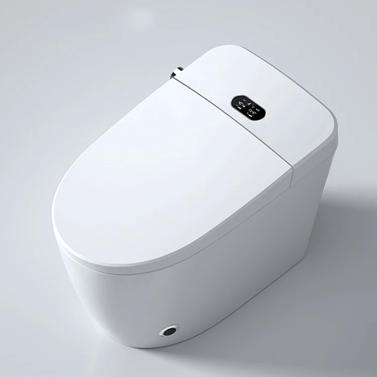 

China High Quality Custom Price Modern Water System Piss Wc Smart Toilet Pot With Number