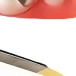 

High-Quality Dental Matrix Retainer Ring & Distractor Plier Set - Includes Elastic Wedges for Secure Fit