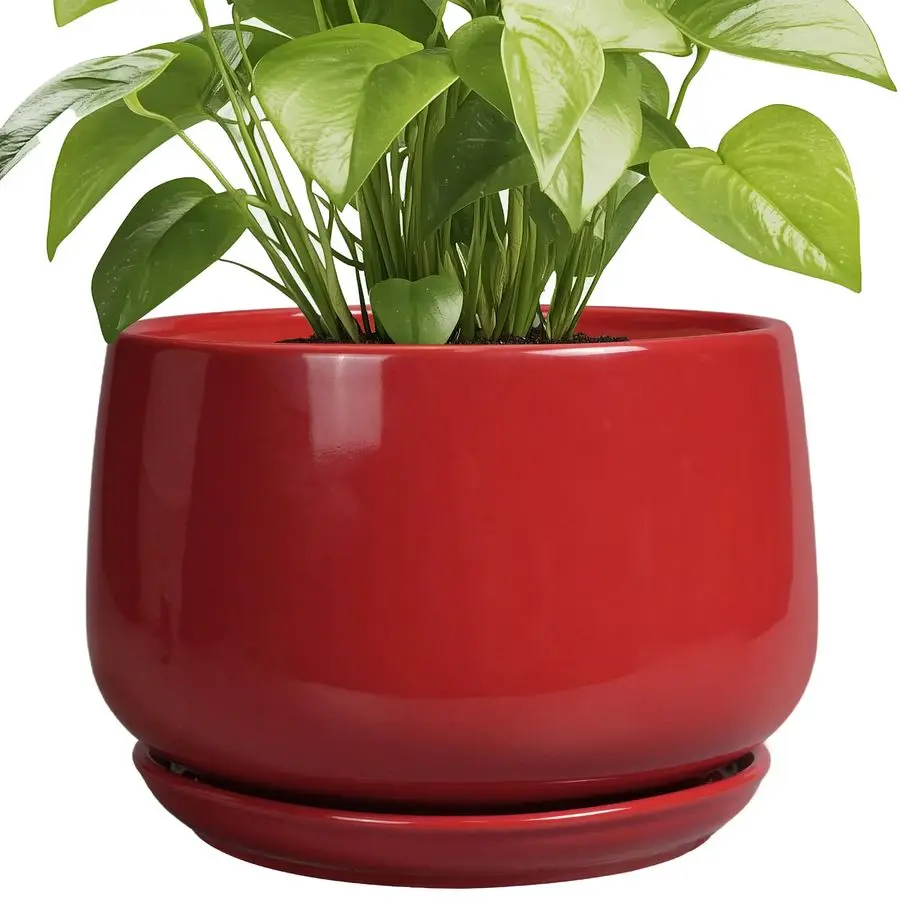 

Керамические горшки для растений EPGardening, 9 дюймов, для комнатных и уличных растений, круглые кашпо с дренажем и поддоном, современный дизайн для дома.