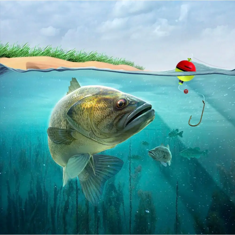 25Mm 40Mm 50Mm Fish…