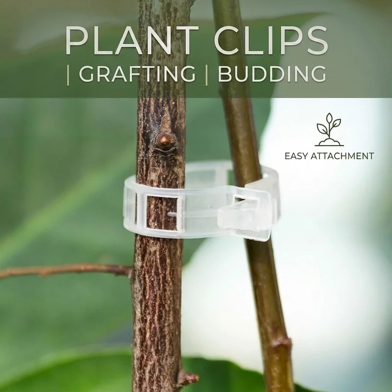 100/200PCS Plant Support Clips Grafting Clips Vine Fixing Clamp for Tomato Cucumber Climbing Plants Garden Plant Fixing Tool