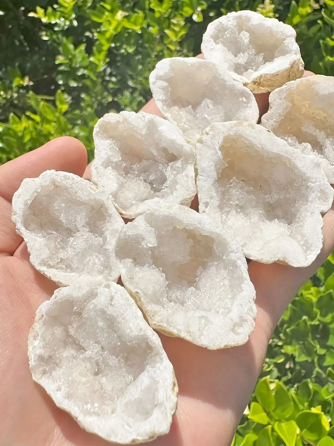 1PC Unopened Natural Agate Geode Raw Crystal - Mineral Energy Healing Quartz Rough Stones Crystal Cluster