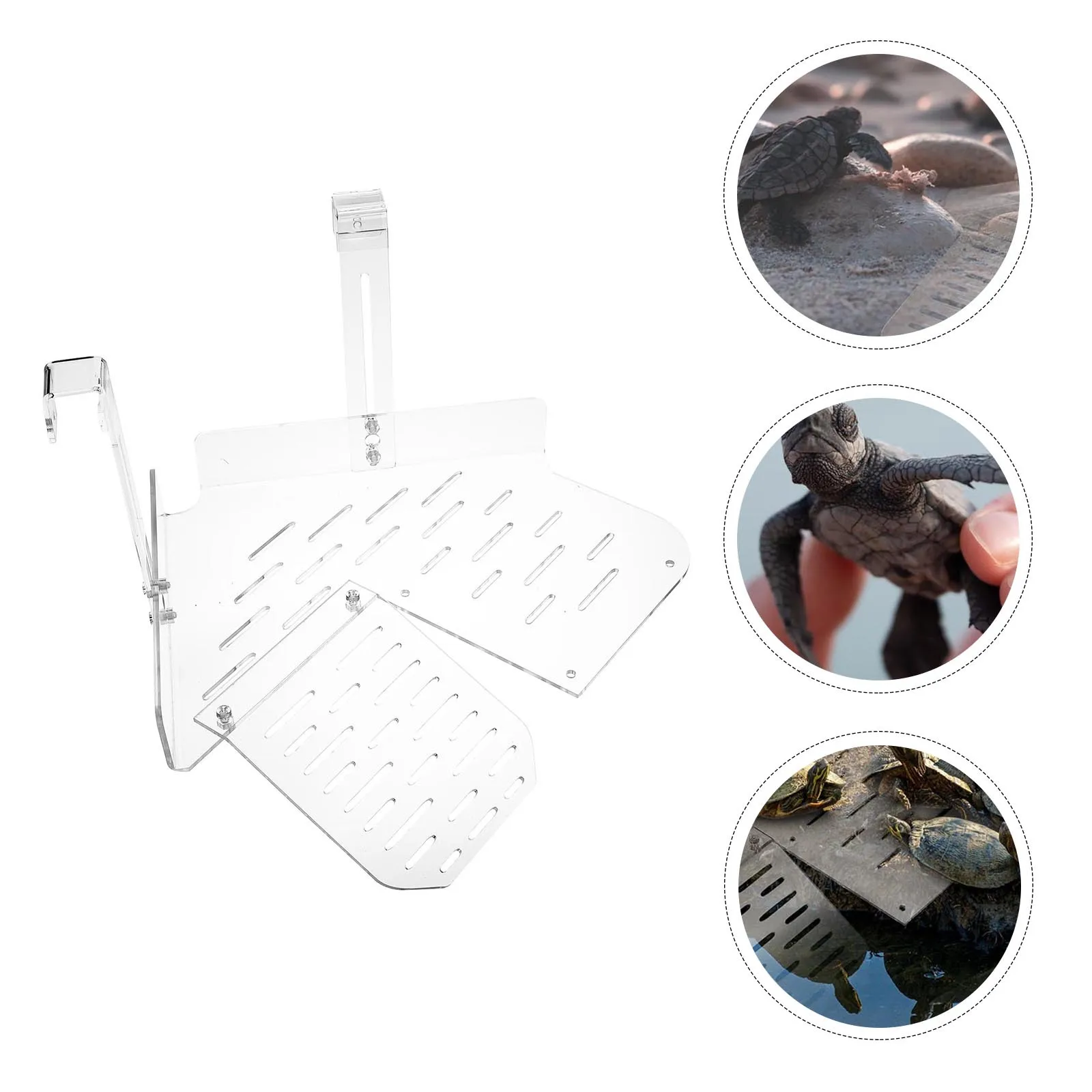 

Basking Platform Turtle Habitat Terrace Breeding Resting Area For Tortoise Tank Terrace Turtle Tank Easy Install Durable