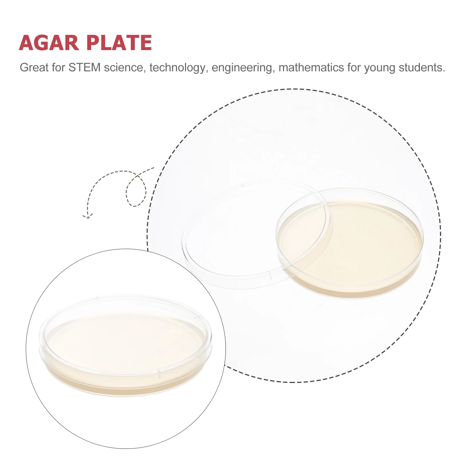 10 Pcs Agar Dish Nutrient Plate Pre-Poured Petri Plates Three-dimensional Experiment