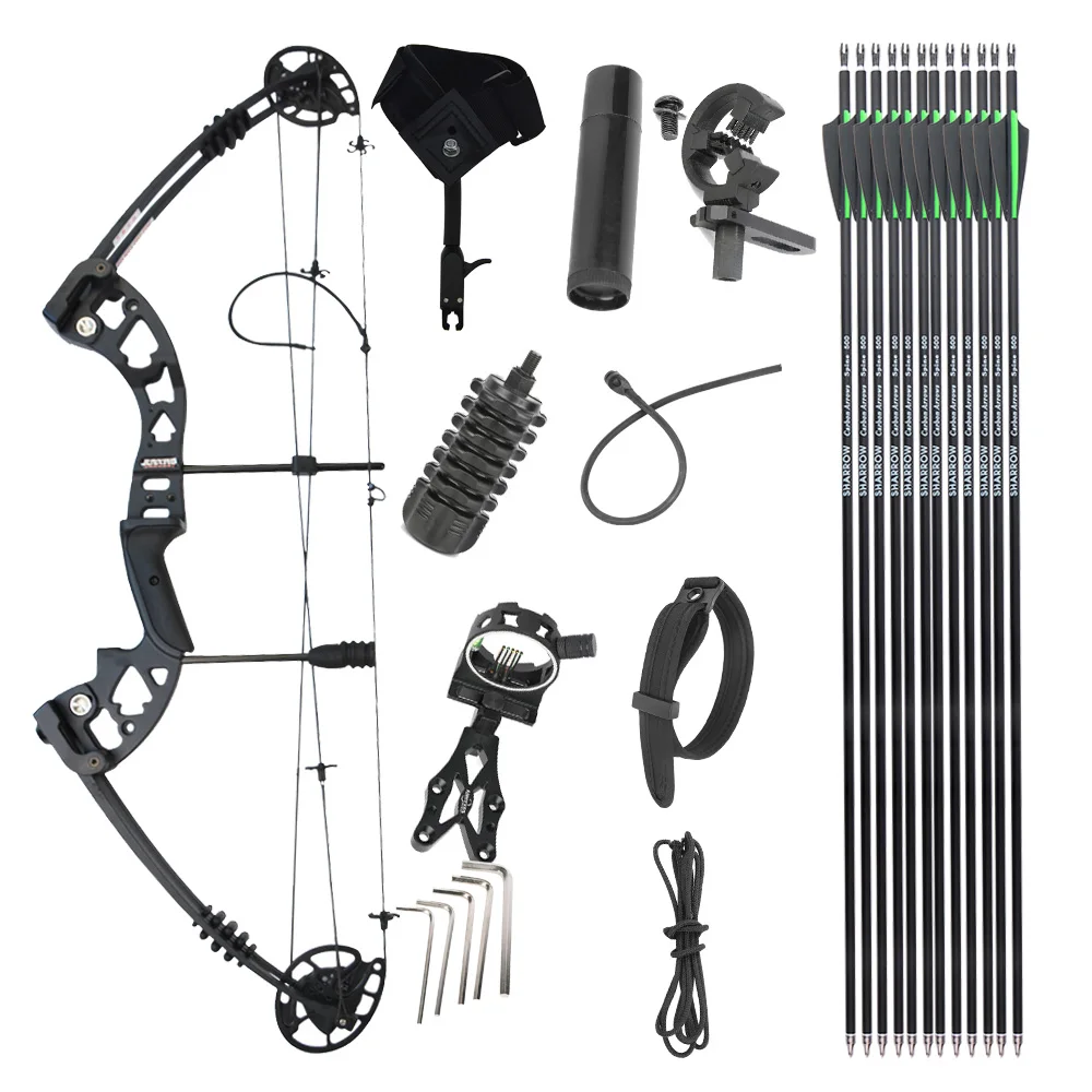 Archery Compound Bow Carbon Arrow Set 30-55lbs 24-29.5'' Draw Length Adjustable Let-off 70% Archery Bow Shooting Hunting Acc