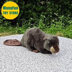 Beaver High Fidelity Anime Cute Otter Plushie Lutra Plush Toy Lifelike Animals Simulation Beaver Stuffed Doll Kawaii Toy Gifts