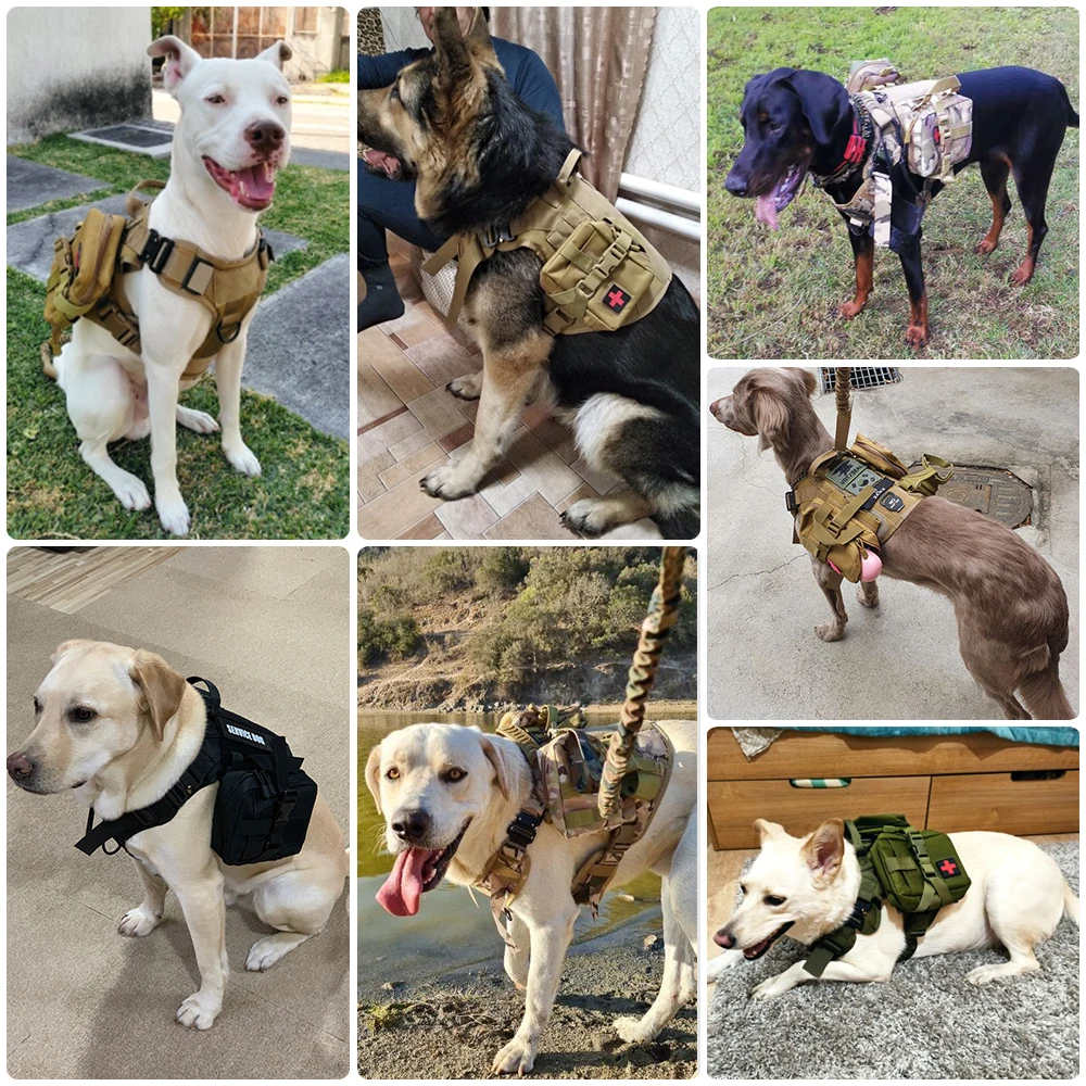 Imagem -06 - Conjunto de Coleira e Arnês para Cães Grandes Coleira Militar Colete Tático Pet Train Pastor Alemão k9 Arnês para Cães Pequenos