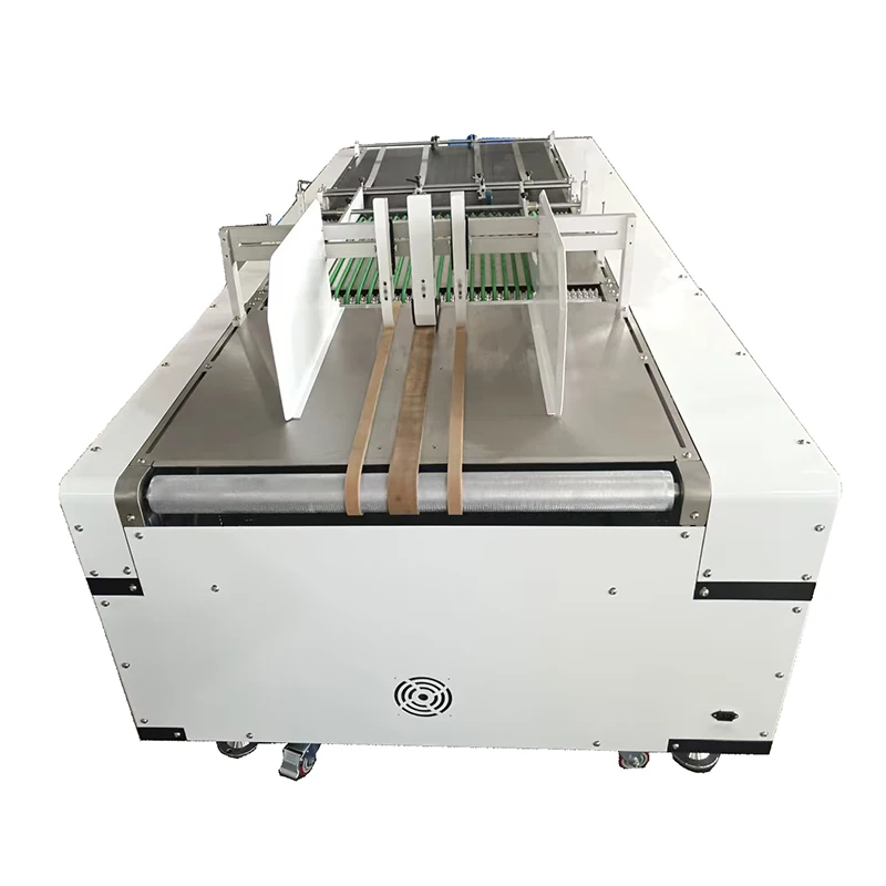 High Speed Automatic Pouch Paging Feeder Conveyor Machine for Bags/Cartons/Boxes Data Printing
