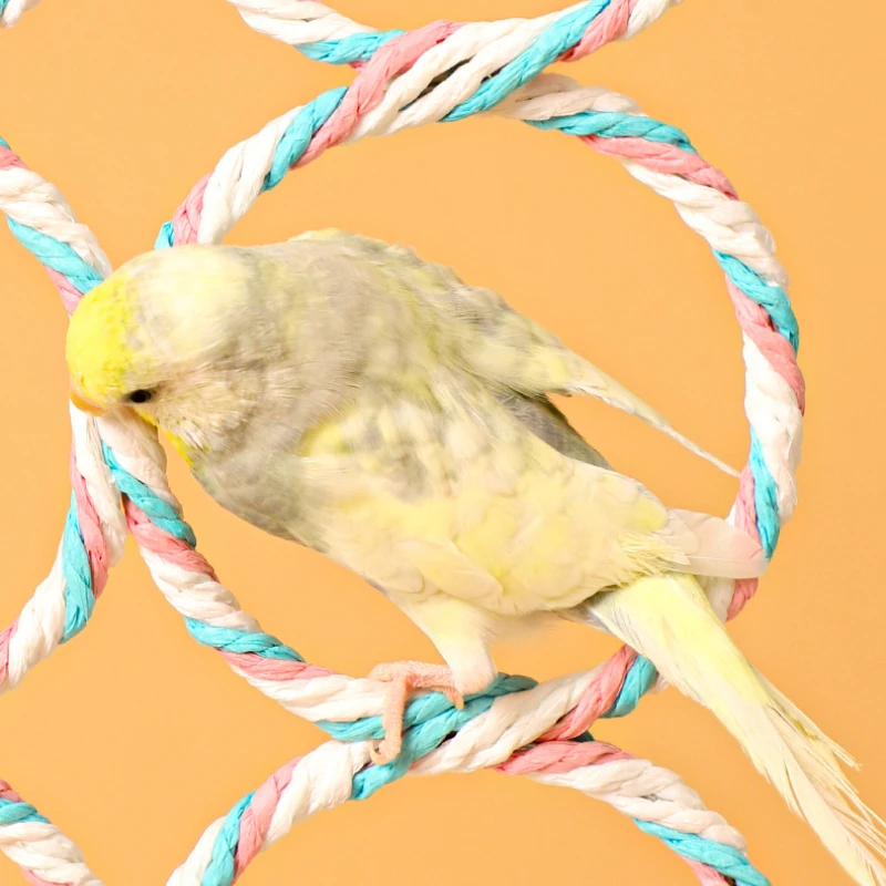 Bird Climbing Rope Net Rope Climbing Ladder Parrot Hanging Swing Perch for Parakeets Cockatiels Conures Lovebirds Rats (Random)