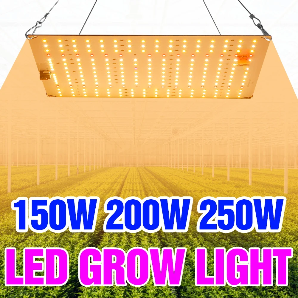 

250W LED Full Spectrum Grow Light Quantum Board Plant UV Lamp Indoor Greenhouse Tent Vegetables Fruit Hydroponics Fill Lighting