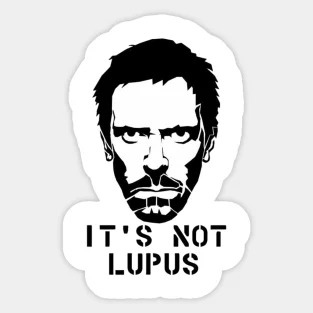 It Not Lupus  5PCS Stickers for Cute Car Decorations Wall Room Art Water Bottles Kid Window Living Room Anime Luggage Funny Home