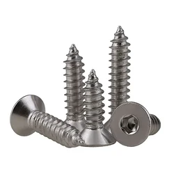 M3 M4 M5 M6 Flat Head Hex Hexagonal Socket Self Tapping Screws 304 Stainless Steel DIN7991 Countersunk Allen Tapping Wood Screw