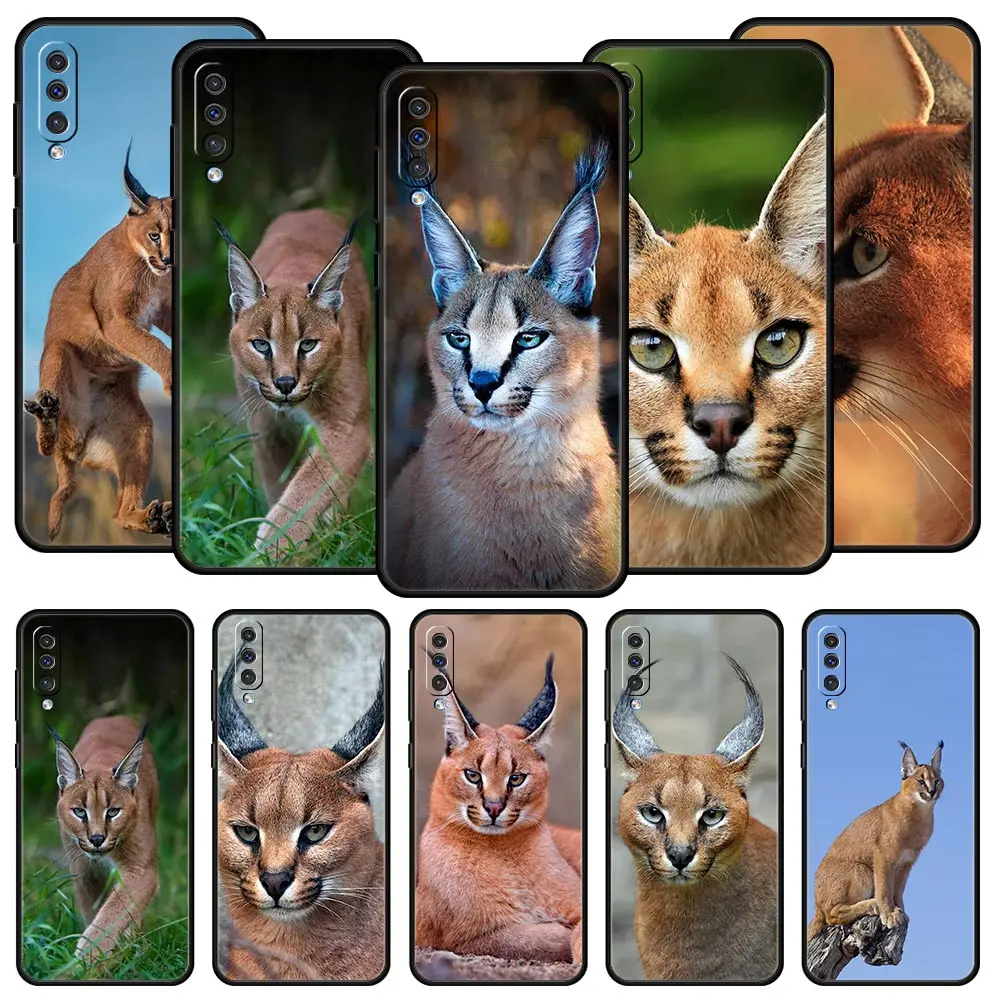 African Lynx Caraca… - image