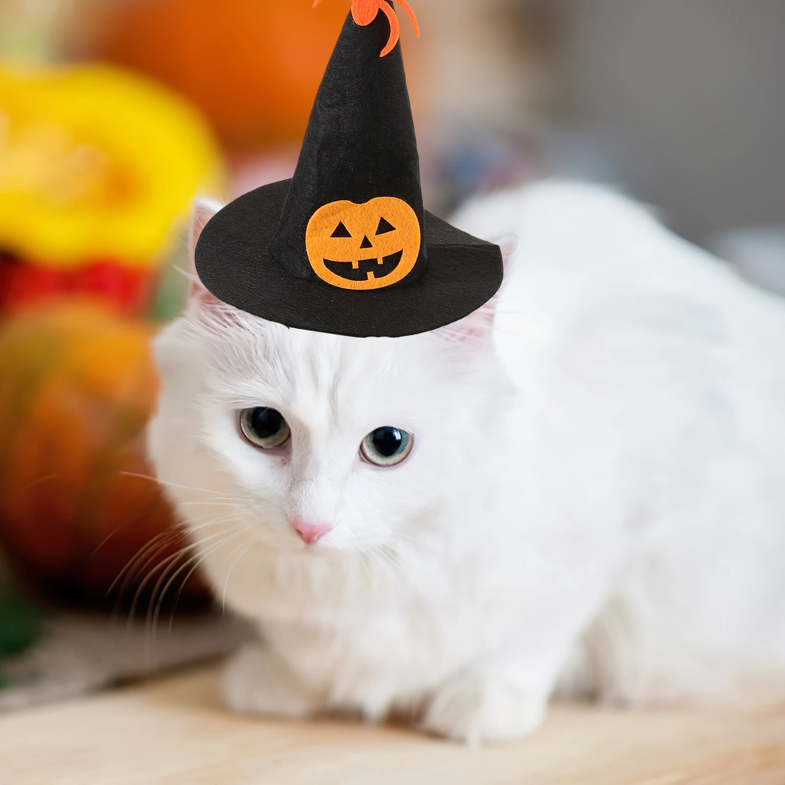 

Halloween Cat Hat Scarf Set Costume Decorative Witch Prop Pet Collar Hat Halloween Elements Cat Cosplay Dog Outfit