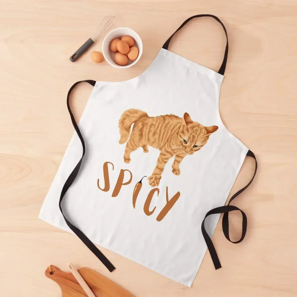 Spicy Boi Ginger Cat Apron Cute Kitchen Accessories kitchen item Kitchen For Women Apron