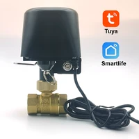 Válvula de agua inteligente Tuya Zigbee WIFI DN15 DN20 DN25, Control de automatización del hogar, temporizador, compatible con asistente de Google Alexa SmartLife