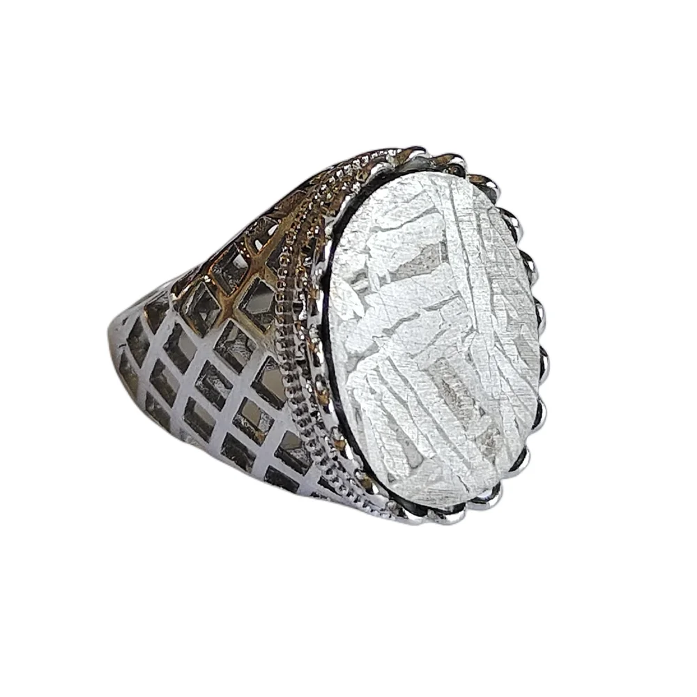 Muonionalusta Iron Meteorite Ring S925 silver case Natural Meteorite Material Ring Collection