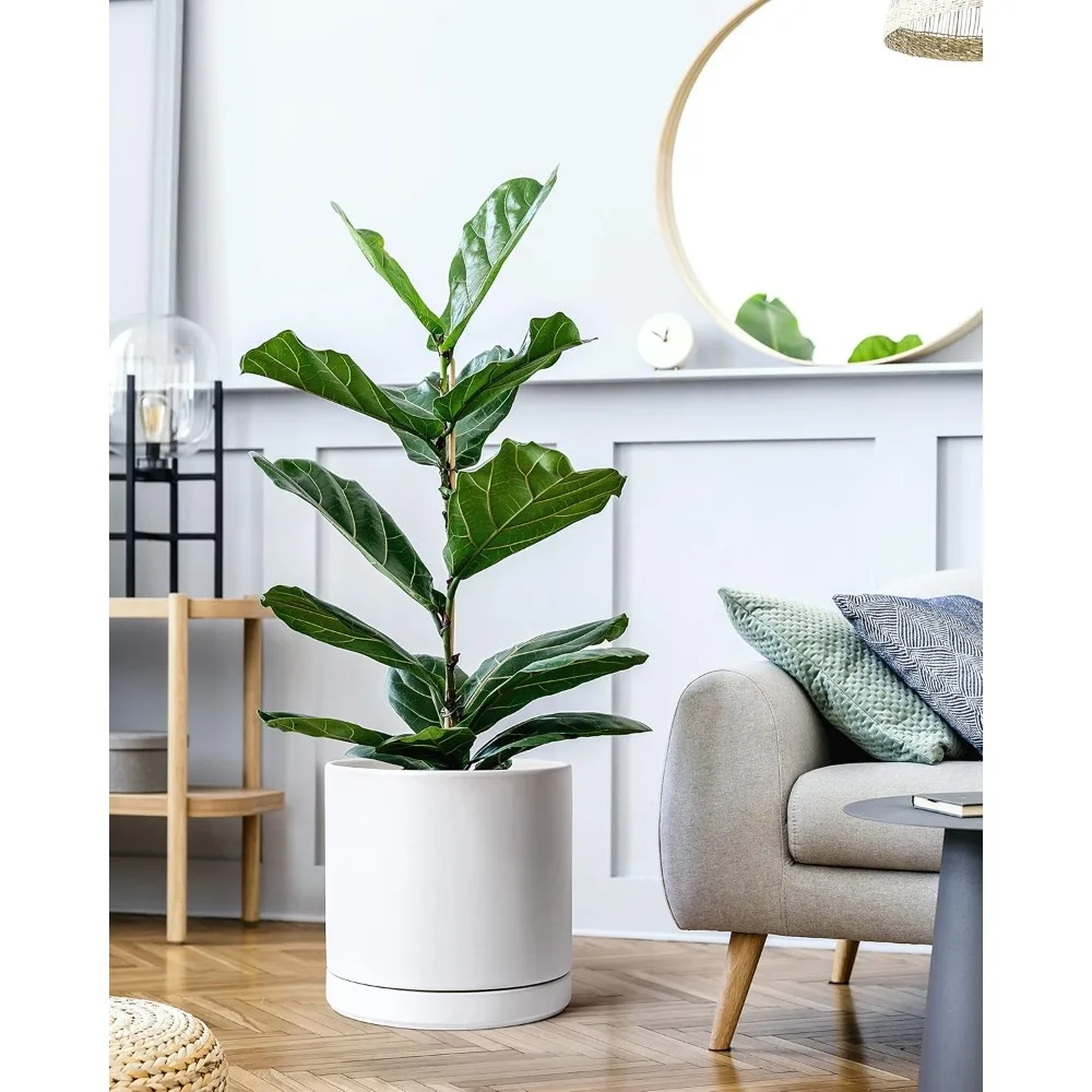 

12 Inch Ceramic Planter Pot with Drainage Hole and Saucer, Indoor Cylinder Round Planter Pot, White, 94-O-F-1