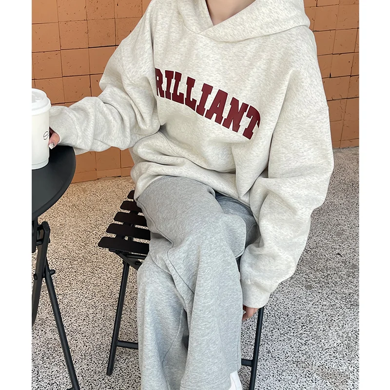 2024 White Gray Women Clothing Vintage Street Sweatshirt Hooded Y2K Letter Pullover Long Sleeves Warm Oversize Baggy Ladies Tops