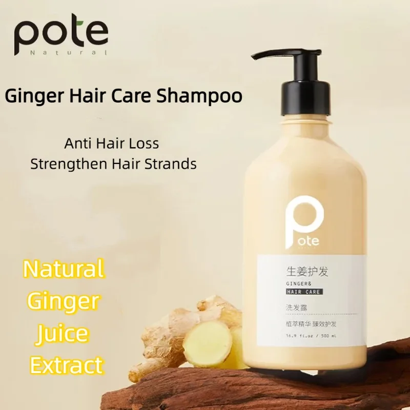500ml POTE Ginger Shampoo Natural Ginger Juice Extract Shampoo Reduce Hair Shedding Anti Breakage Soothing Scalp for Men Women
