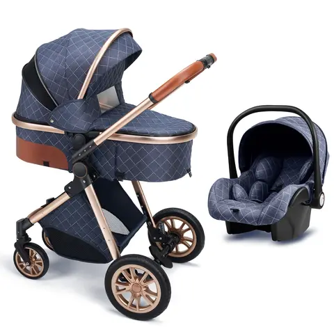 All-in-One Luxury Stroller: Versatile 3-in-1 High Landscape Pram with Reversible Seat Mode