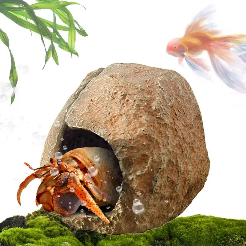 Aquarium Cave Fish …