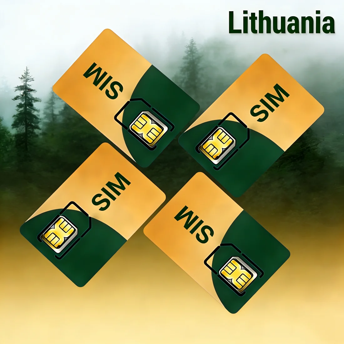 Tarjeta SIM 4G M2M LTE 360MB con Roaming Europeo para Lituania, para Rastreador TK915/TK913/TK905B
