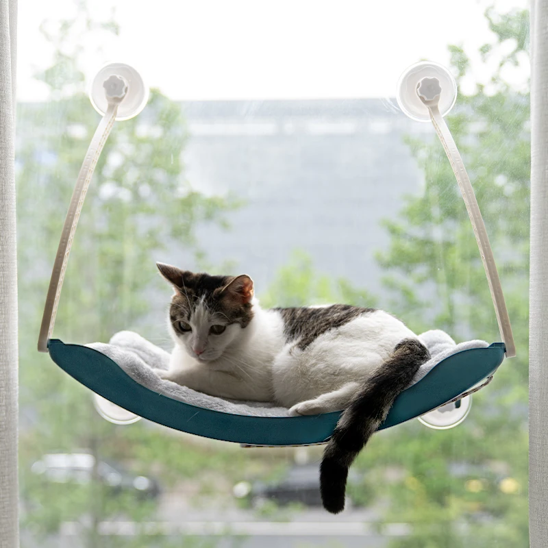 Manufacturer wholesale stable sucker hanging window cat hammock with blanket