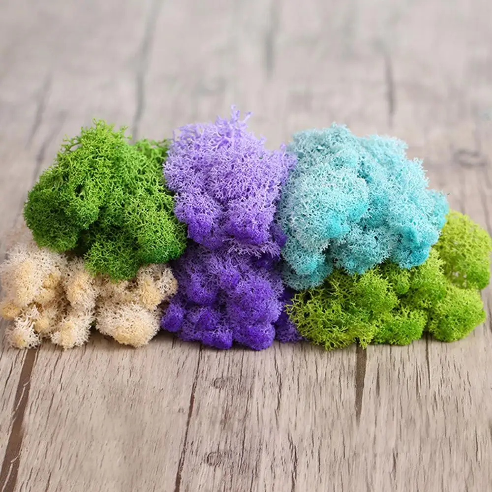 DIY Colorful Wedding Home Decor Decoration Flower Reindeer Moss Micro Landscape Artificial plant Eternal Life Moss