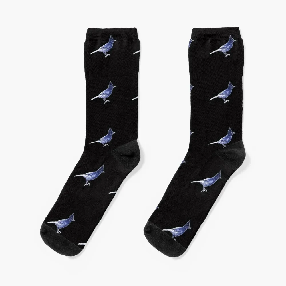 

Steller's Jay Blue White Print Socks christmas gifts Wholesale luxury Crossfit Socks For Women Men's