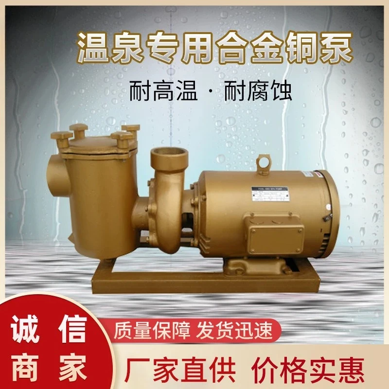 

(Sea shipping) Copper pump swimming pool water treatment equipment water pump, water park large filter pump high temperature res