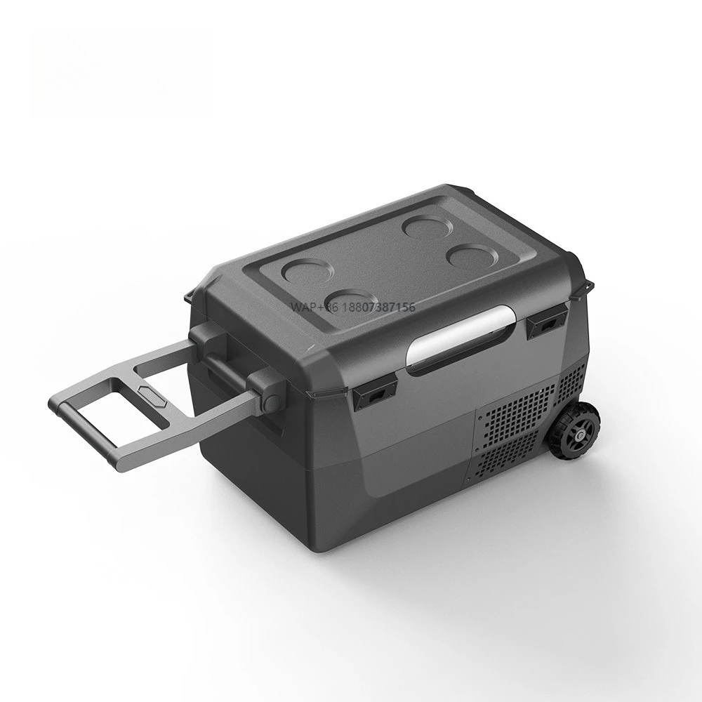 Hot Sale Portable Electric 12V 24V Mini Small Beauty Insulin 26L Camping Car Refrigerator Freezer Cooler Box Fridge