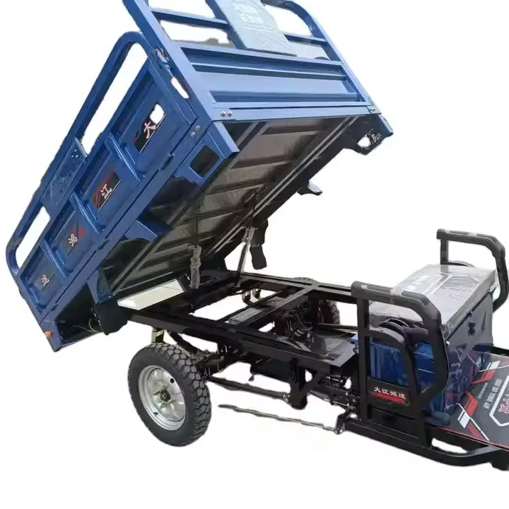 Clearance Cargo Tricycle Electric Adult Electric Tricycles Cargo 60V 1000W Tricycles Controller Dual 18 Tube