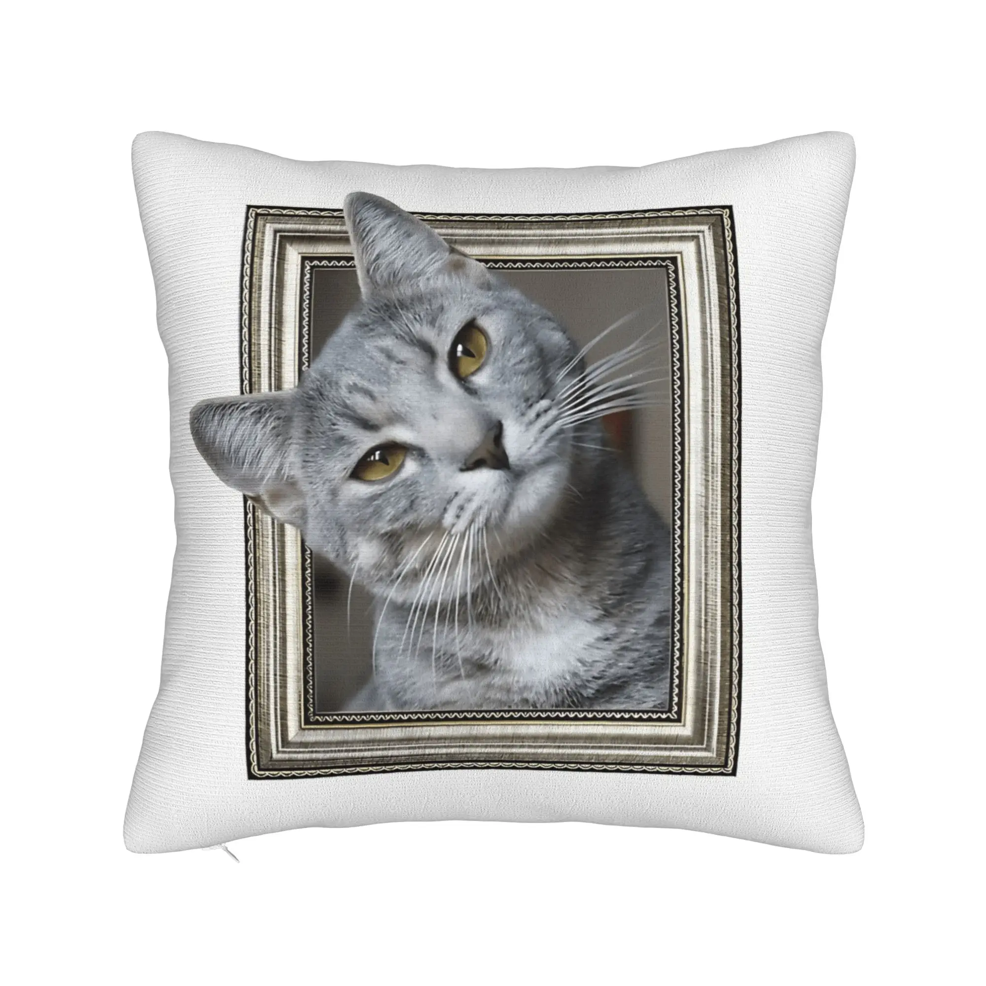 Cute Caroon Cat Portrait Photo Frame Art Pillow Cover  Soft Cushion Cover Retro Trendy Pillow Case For Sofa Car Home Decor