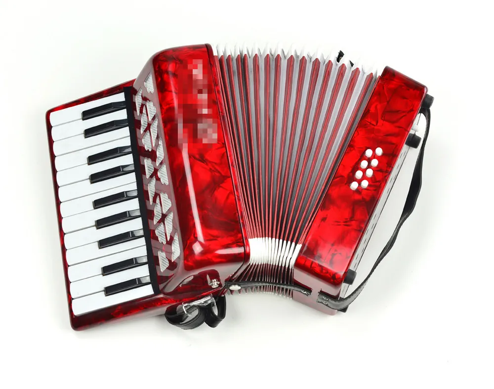 22 Keys 8 Bass Piano Accordion with Adjustable Straps Bag Musical Instrument for Kids Beginners Keyboard Instruments