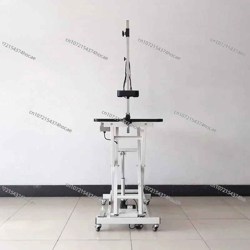 Pet grooming table for groomers Electric lift table with perforated socket and multi-functional without metalless frame