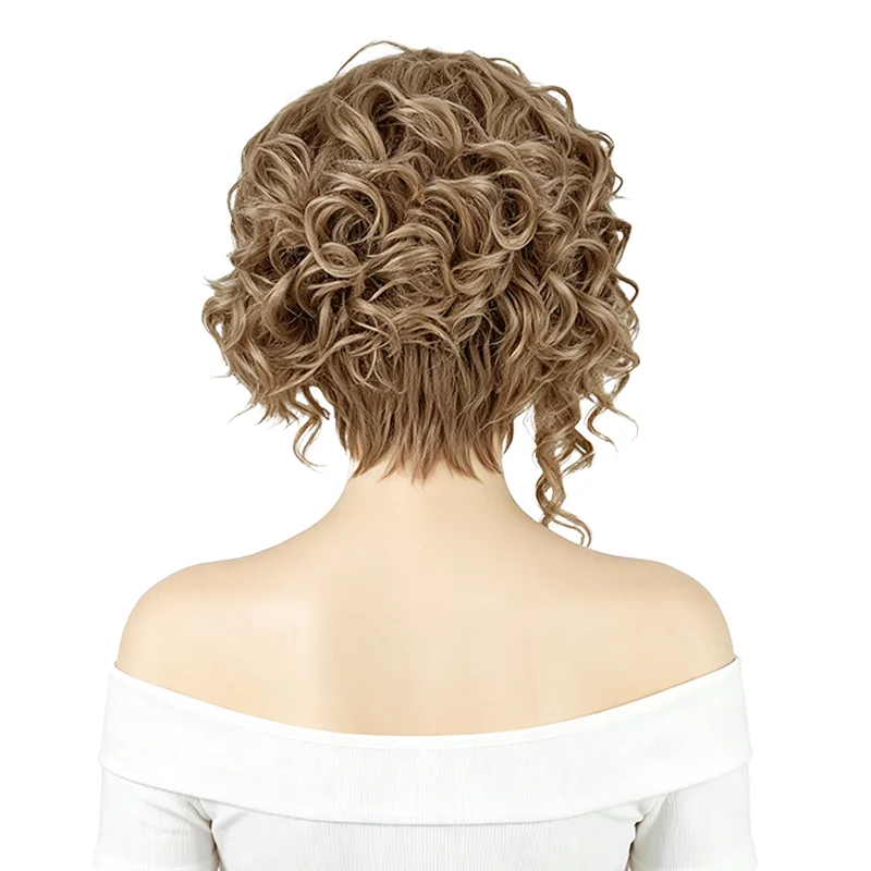 Short Curly Synthetic Wigs For Women Ash Golden Brown with Blonde Highlights Small Curls Heat Resistant Fiber Daily Party Wig