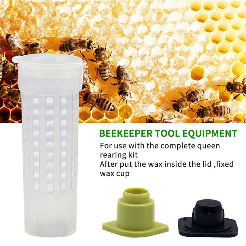 

Fresh 100 PCS Queen Bee Roller Cage - Plastic Beekeeping Queen Cup Kit Queen Bee Roller Cage Back Cup Holder Beekeeping Tools